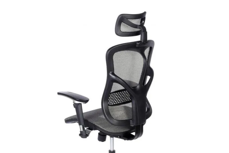 Poltrona da ufficio ergonomica Ergo 500 Grigio