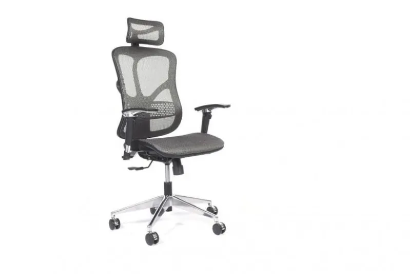 Poltrona da ufficio ergonomica Ergo 500 Grigio