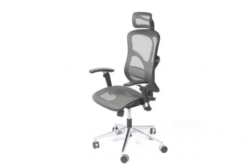 Poltrona da ufficio ergonomica Ergo 500 Grigio