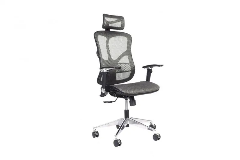 Poltrona da ufficio ergonomica Ergo 500 Grigio