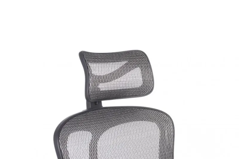 Poltrona da ufficio ergonomica Ergo 500 Grigio