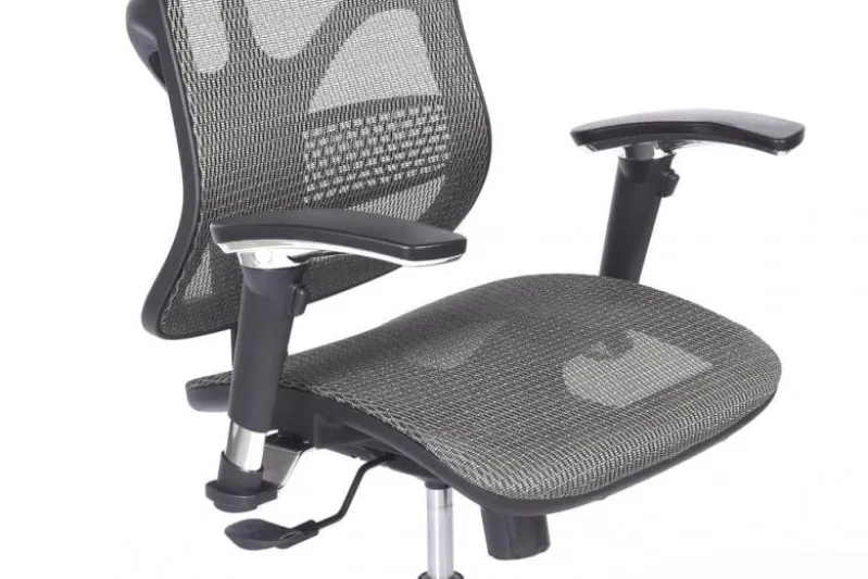 Poltrona da ufficio ergonomica Ergo 500 Grigio