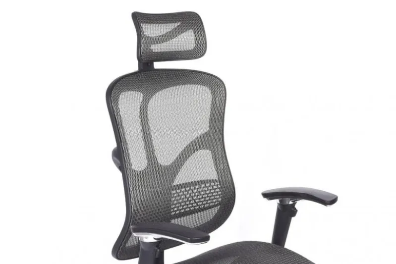 Poltrona da ufficio ergonomica Ergo 500 Grigio