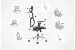 Poltrona da ufficio ergonomica Ergo 500 Grigio
