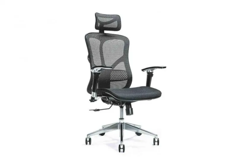 Poltrona ergonomica da ufficio Ergo 500 Nero