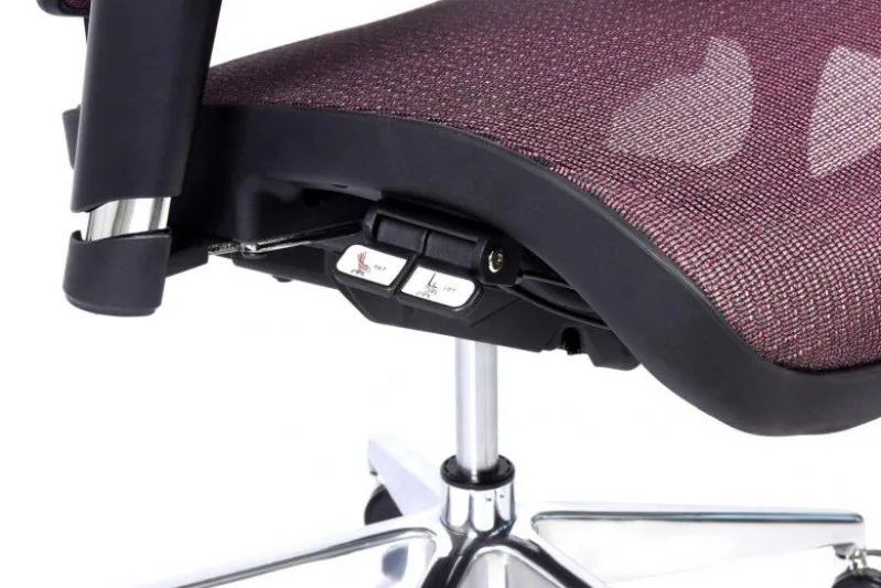 Poltrona ergonomica da ufficio Ergo 600 Prugna