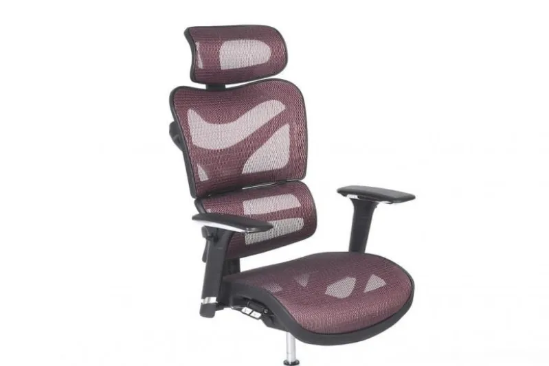 Poltrona ergonomica da ufficio Ergo 600 Prugna
