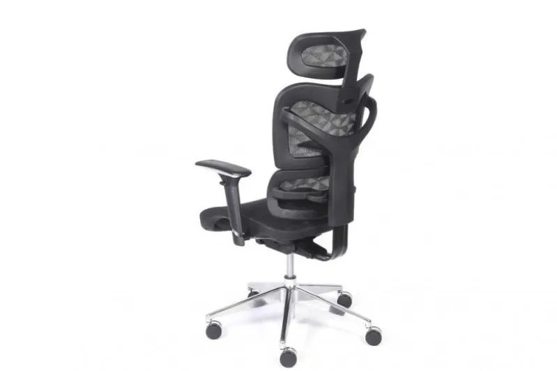 Seduta ergonomica da ufficio Ergo 600 Nero