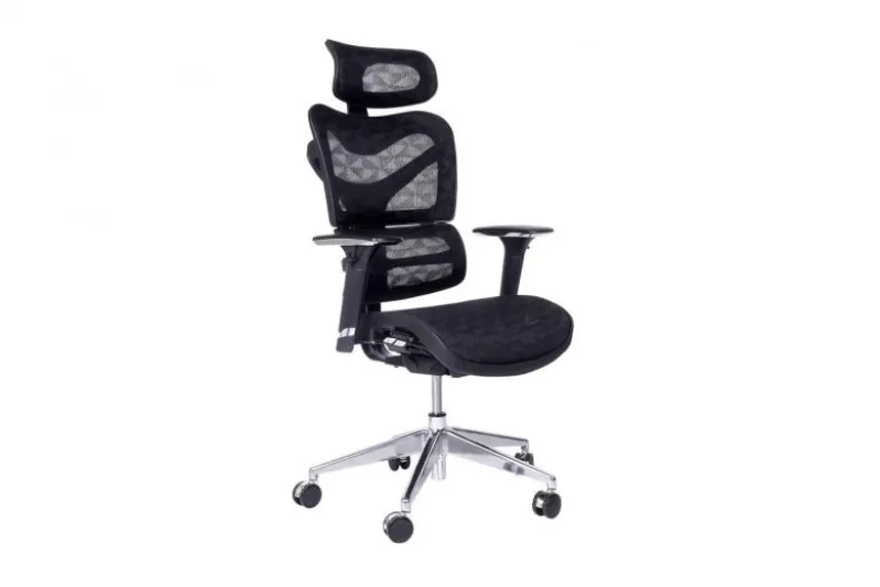 Seduta ergonomica da ufficio Ergo 600 Nero