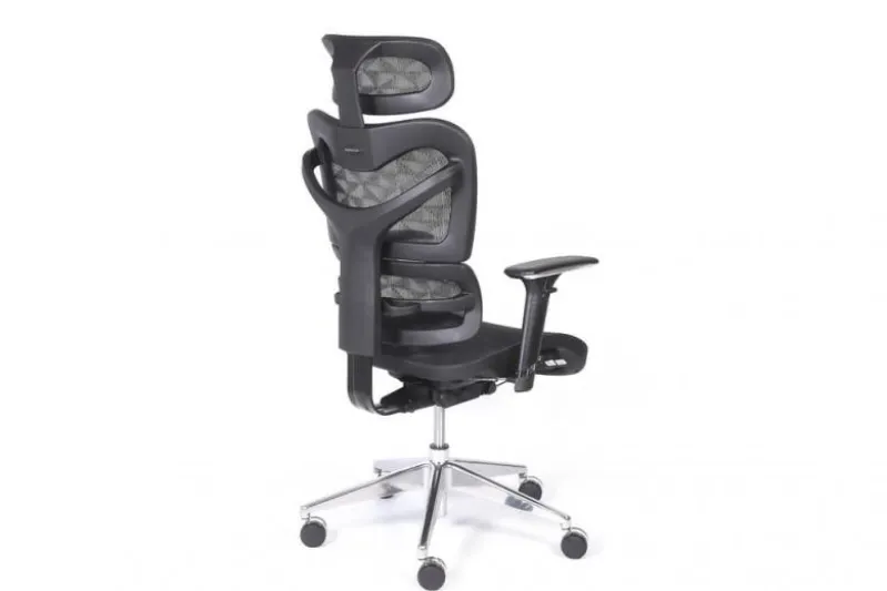 Seduta ergonomica da ufficio Ergo 600 Nero