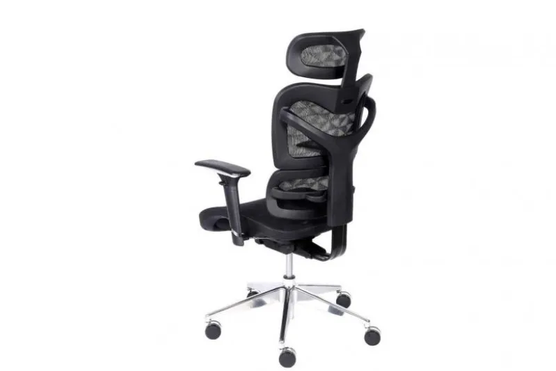 Seduta ergonomica da ufficio Ergo 600 Nero