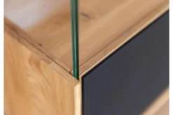 Vetrina 2 ante con vetro nero e frammento di tronco rovere massello