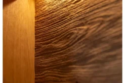 Vetrina 2 ante con vetro nero e frammento di tronco rovere massello