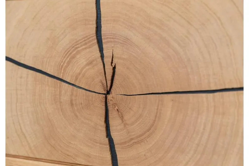 Vetrina 2 ante moderna con elemento di tronco rovere massello